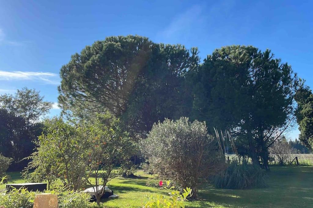 Gite Mas Provencal Tarascon Exterior foto